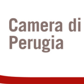 WorkShoW “SHAPING THE FUTURE. Uscire dalla zona di comfort per creare il proprio futuro” alla Camera di Commercio di Perugia